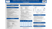 Preview of the poster